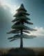 Placeholder: Pine tree with a hat on clouds