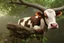 Placeholder: cow stuck in the top of a tree can not get down