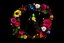 Placeholder: an image of alphabets with florals around, vibrant color flowers, black background