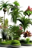 Placeholder: tecnologic orchids, palm and olives trees unnatural in a naturalistic context