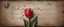 Placeholder: Hyper realistic red tulip on the side of a vintage paper with harmonica instrument & small musical notes with dark background