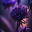 Placeholder: high lighting, nature, plants, wildflower, intricate, 8k, macro photography,purple tones,