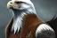 Placeholder: portrait fantasy ranger sharp faced male eagle