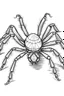 Placeholder: Outline art of tarantula full body ,only use outline, clean line art, white background, no shadows and clear and well outlined.