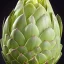 Placeholder: Photo of a crystal artichoke