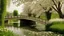 Placeholder: Serene view of a river landscape and slender trees, with the white of the flowers contrasting with the warm tone of the bridge's masonry.