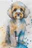 Placeholder: Abstract wet watercolour of a cockapoo, sketchy pencil lines, splashy background, bifurcated circles, detailed,focus on eyes, watercolour paper