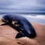 Placeholder: photograph of beautiful sperm whale washed up on shore, face view, lifeless, debris, foamy wave, sand, rock, 8k resolution, high-quality, fine-detail, detailed matte, photography, illustration, digital art, brian froud, howard lyon, selina french, anna dittmann, annie stokes, lisa parker, greg rutowski,