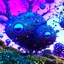 Placeholder: Interworld METAMORPHOSIS intricate, 8k, macro photography.Cosmic artificial intelligence.ا Looking at decorated trees. And primitive hybrid creatures