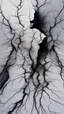 Placeholder: black vein, human veins, mixing together a lot of them, like a forest, big and small veins a lot of them