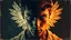 Placeholder: old worn postcard, Portrait Light and darkness in one person, angel and demon in one person, abstract art additional colors small details,