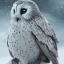 Placeholder: snow OWL RAVEN