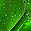 Placeholder: big waterdrops on big green leave, reflections on the drops, photorealistic, high quality, 8k , details