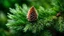 Placeholder: In the winning macro photograph by John Eyre, a branch adorned with a solitary fir cone stands as a testament to the allure of nature in coniferous forests. The lush evergreen branches of spruce and pine trees, intertwined with the essence of a maritime pine, create a stunning green flora forest. This beautiful landscape showcases the majesty of fir trees and the elegance of fir trees, nestled within an enchanting evergreen forest.