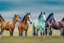 Placeholder: horses of different colors standing on a field