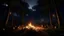 Placeholder: Night jungle very less trees with bonfire in unreal enging