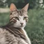 Placeholder: кот с длинной шеяй