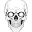 Placeholder: outline art for square scary skull coloring page for kids, classic manga style, anime style, realistic modern cartoon style, white background, sketch style, only use outline, clean line art, no shadows, clear and well outlined