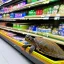 Placeholder: turtle and supermarket
