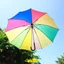 Placeholder: An umbrella, vibrant colors