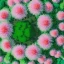 Placeholder: microphotography top-down view of a multicolored complex flower, high definition, detail, HD, 8k, realistic, 3d rendering, blender, photography, fisheye, bulge, tilt shift blur, microbiology