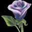 Placeholder: purple flower