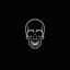 Placeholder: minimalistic skull logo