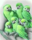 Placeholder: Drawing of a group of baby parrots