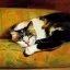 Placeholder: oil portrait of tricolor pattern Cat sleeping in a sofa by Joaquín Sorolla 8k