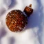 Placeholder: tiny acorn buried in snow, warm colors, soft lighting, snowdrift