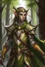 Placeholder: wood elf paladin