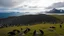 Placeholder: South Georgia island, penguin colony, ocean, mountains, sky, beautiful composition, award-winning photograph, astonishing realism, 28mm lens, adjust perspective