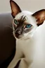 Placeholder: art by Boris Kostygov, intricate detailed Sphynx siamese cat with blue eyes