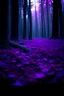 Placeholder: beautiful bright blurry background purple forest floor HD 4K