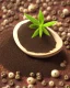 Placeholder: ground Black pepper seeds. Realistic photo. HD. Glowing. 3d style