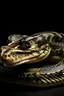 Placeholder: Message "Python Practices". Images should be at least 640×320px (1280×640px for best display).