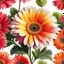 Placeholder: gerbera daisy flower on white background, illustration