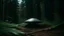 Placeholder: a bell-shaped ufo with a metal surface buried in the ground in the middle of the forest