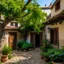 Placeholder: A grape tree courtyard of an old house