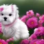 Placeholder: chiot bichon maltais blanc dans un champ de fleurs roses avec des lapins blancs