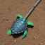 Placeholder: Turtle flying broom