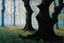 Placeholder: Trees, forest, gothic horror movies influence, black metal videoclips influence, konstantin korovin and paul cezanne impressionism paintings