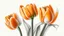 Placeholder: Realistic drawing of orange tulips, white background.