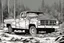 Placeholder: pickup truck, rear, forest, comic book,post-apocalypse, gray background, night time,
