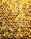 Placeholder: bright hexagonal honeycombs, bright yellow background with lamps, lighting on the walls