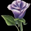 Placeholder: purple flower, greeting card illustration