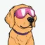 Placeholder: Color Cartoon golden retriever pink pool goggle , black outline