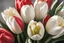 Placeholder: photorealistic 4 red tulips above and 2 white tulips down in a bouquet, soft lighting, sharp focus, rough edges in sunshine