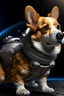 Placeholder: Corgi tortoise lifelike in space