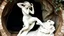 Placeholder: A Mannerist sculpture of a nymph in a grotto, her pose unnatural and elegant, carved from white marble with intricate details, set against a backdrop of dark, overgrown foliage and a hidden, trickling fountain.